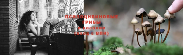 ешки Баксан