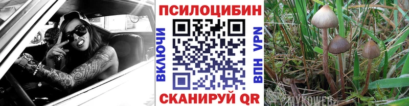 Галлюциногенные грибы прущие грибы  darknet наркотические препараты  Кинель 