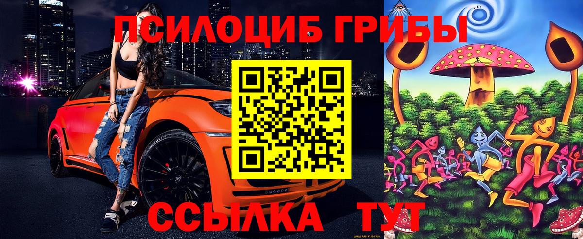 Кинель  Галлюциногенные грибы Psilocybine cubensis  Вход с VPN  Галлюциногенные грибы MAGIC MUSHROOMS 